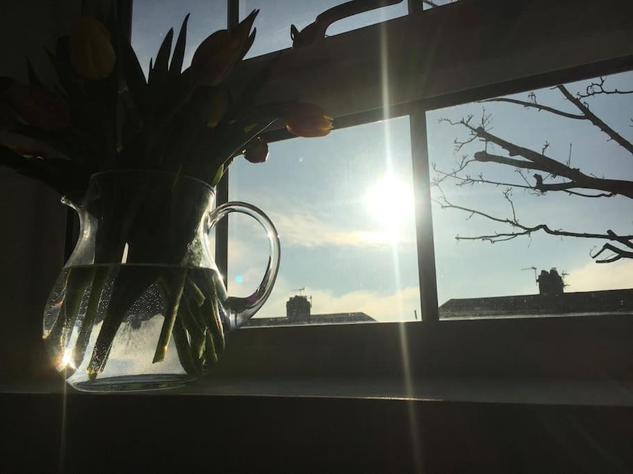 Brighton Boutique Garden Studio With Free Parking Esterno foto